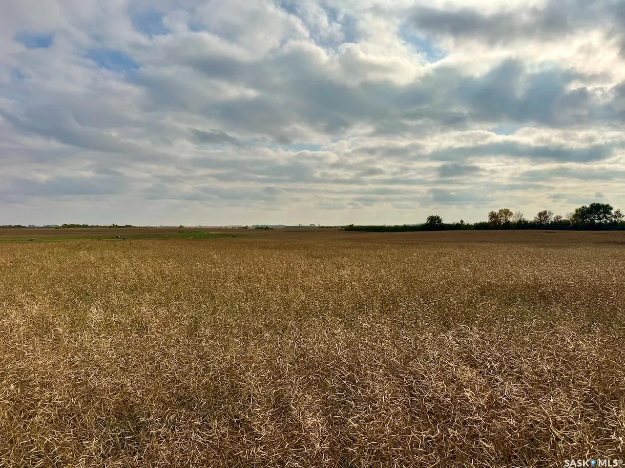 Rural Address