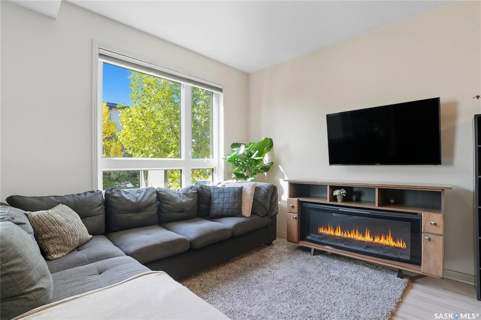 223 Evergreen SQUARE, #120
