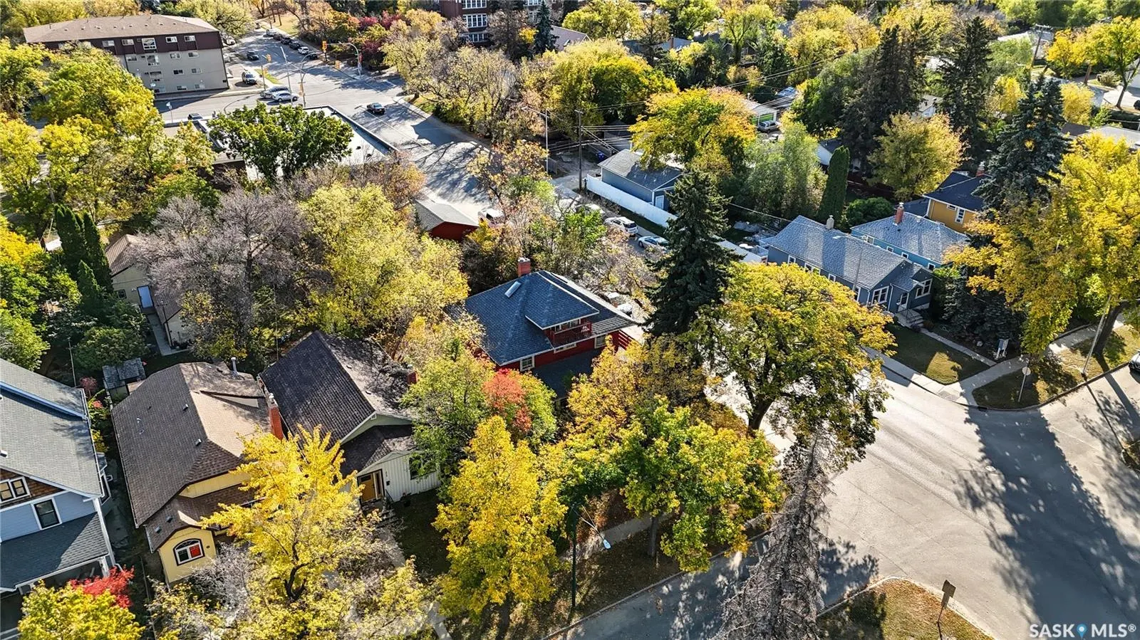 521 Albert AVENUE