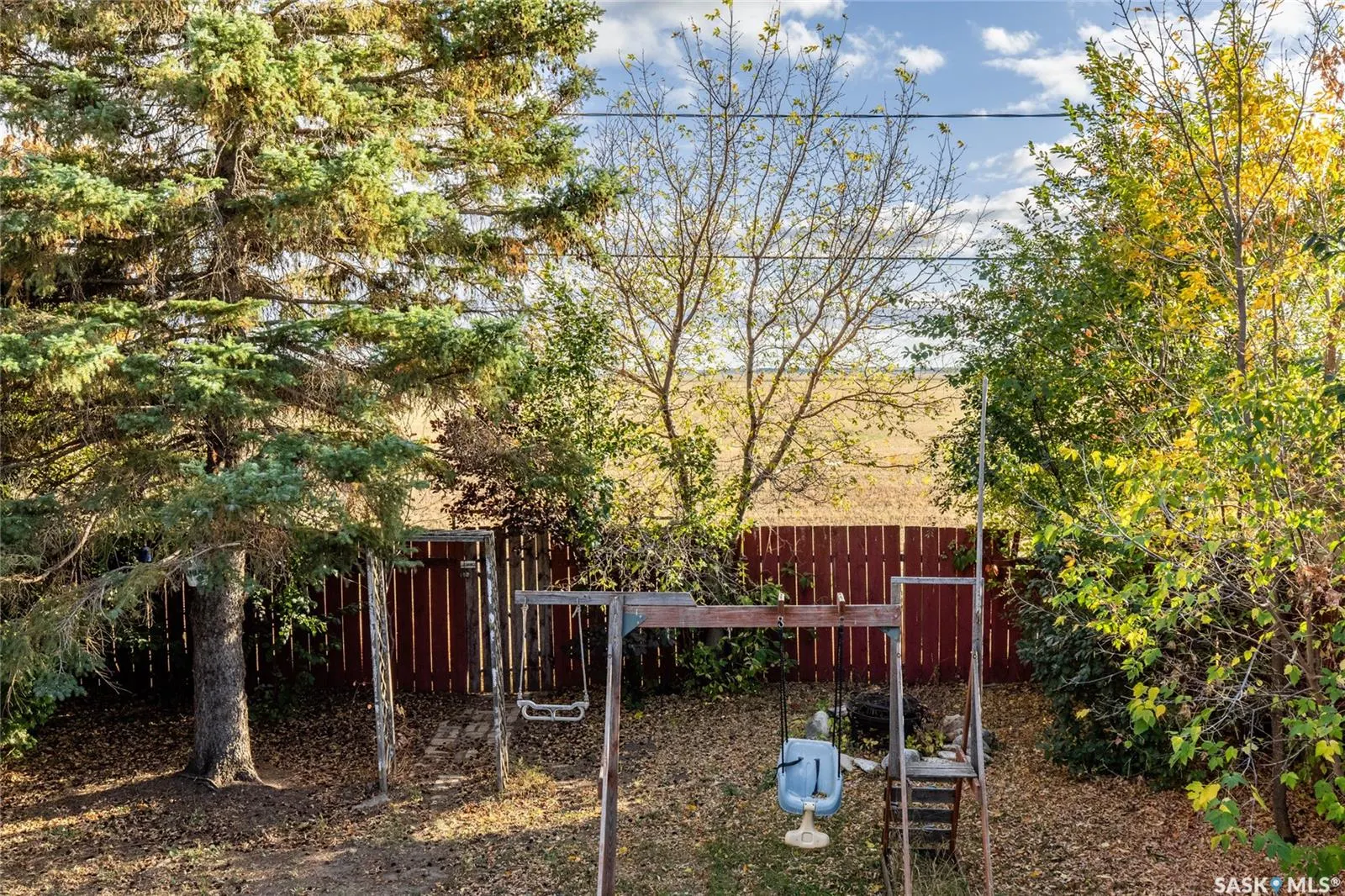 1339 SPADINA STREET W