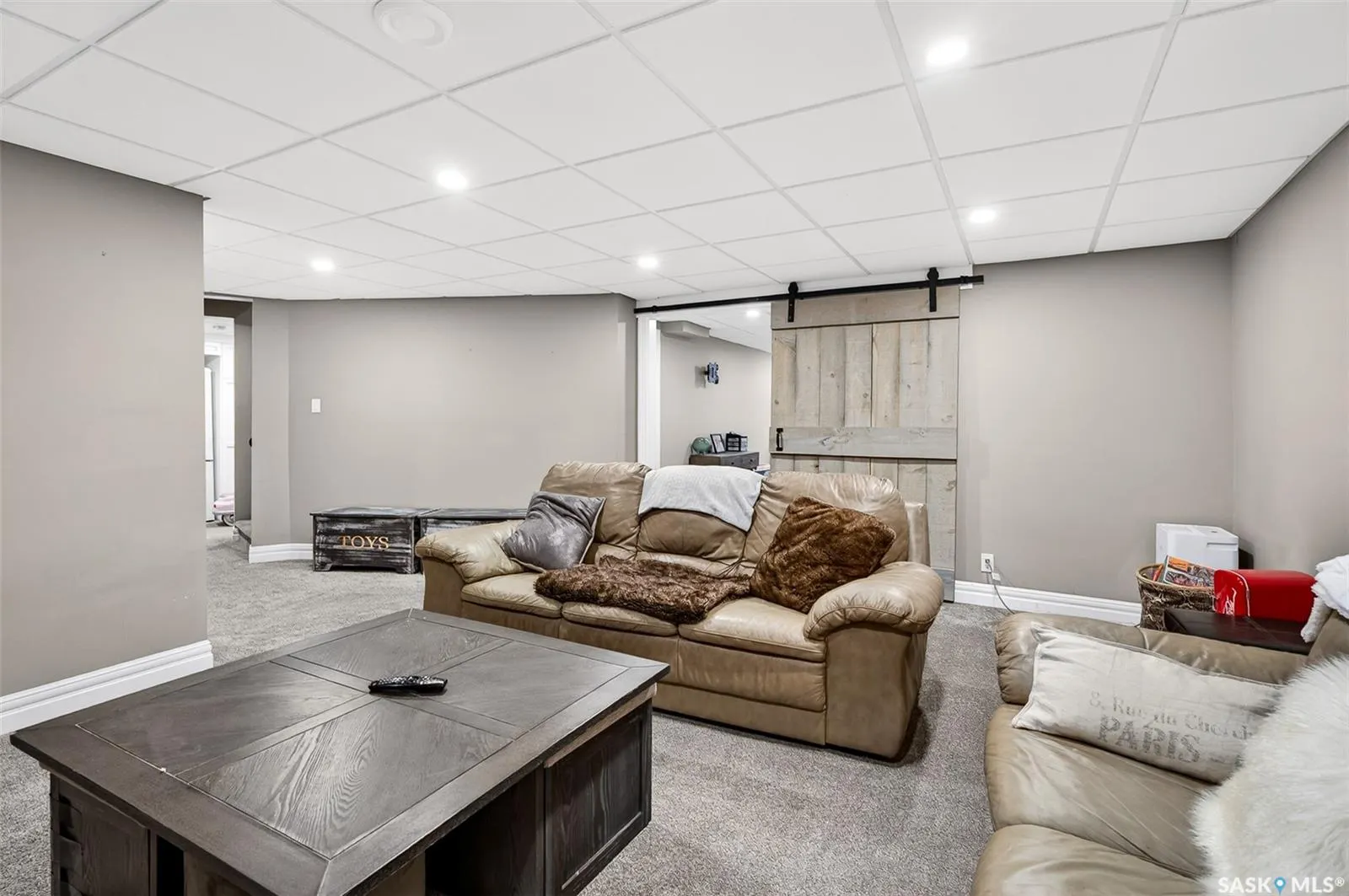 65 Calypso DRIVE