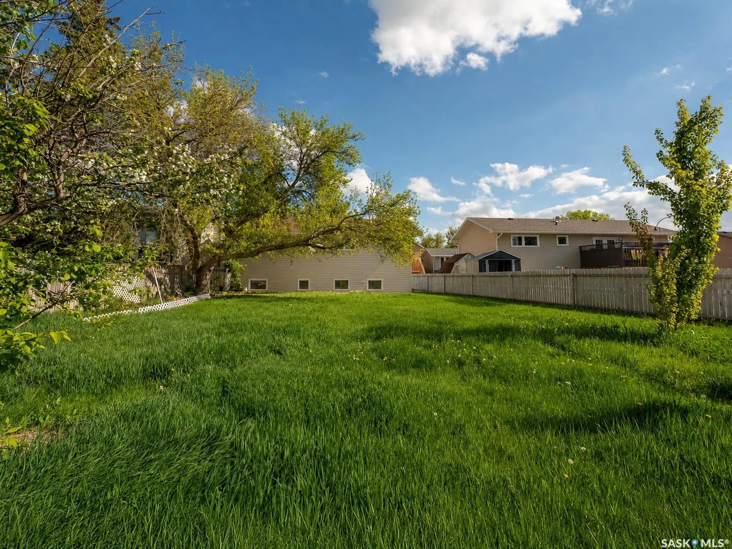 89 Daisy CRESCENT