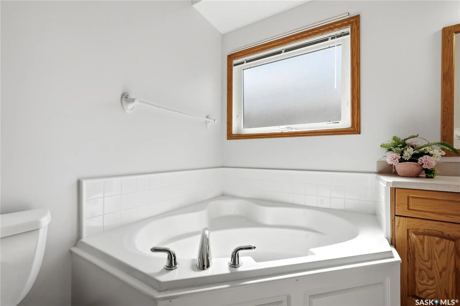 11330 Wascana MEADOWS