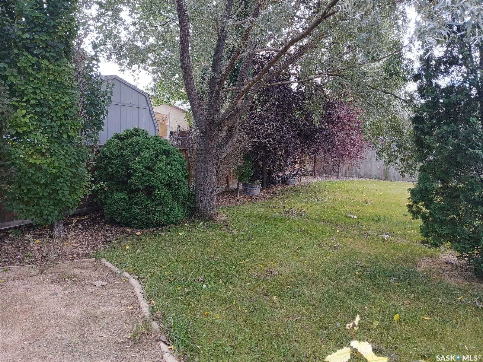 1663 Shattuck BAY N