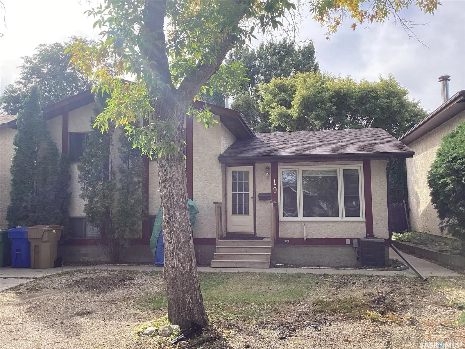 19 Newstead AVENUE