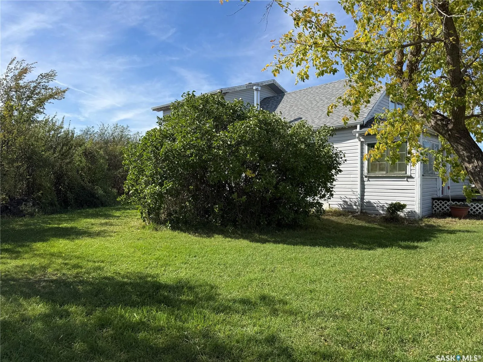 7 1st AVENUE