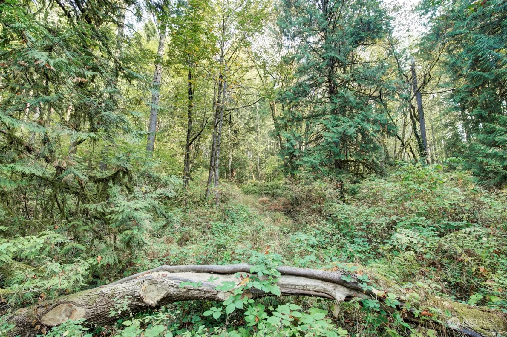 37 XXX 212th Way SE, Sammamish, WA 98075