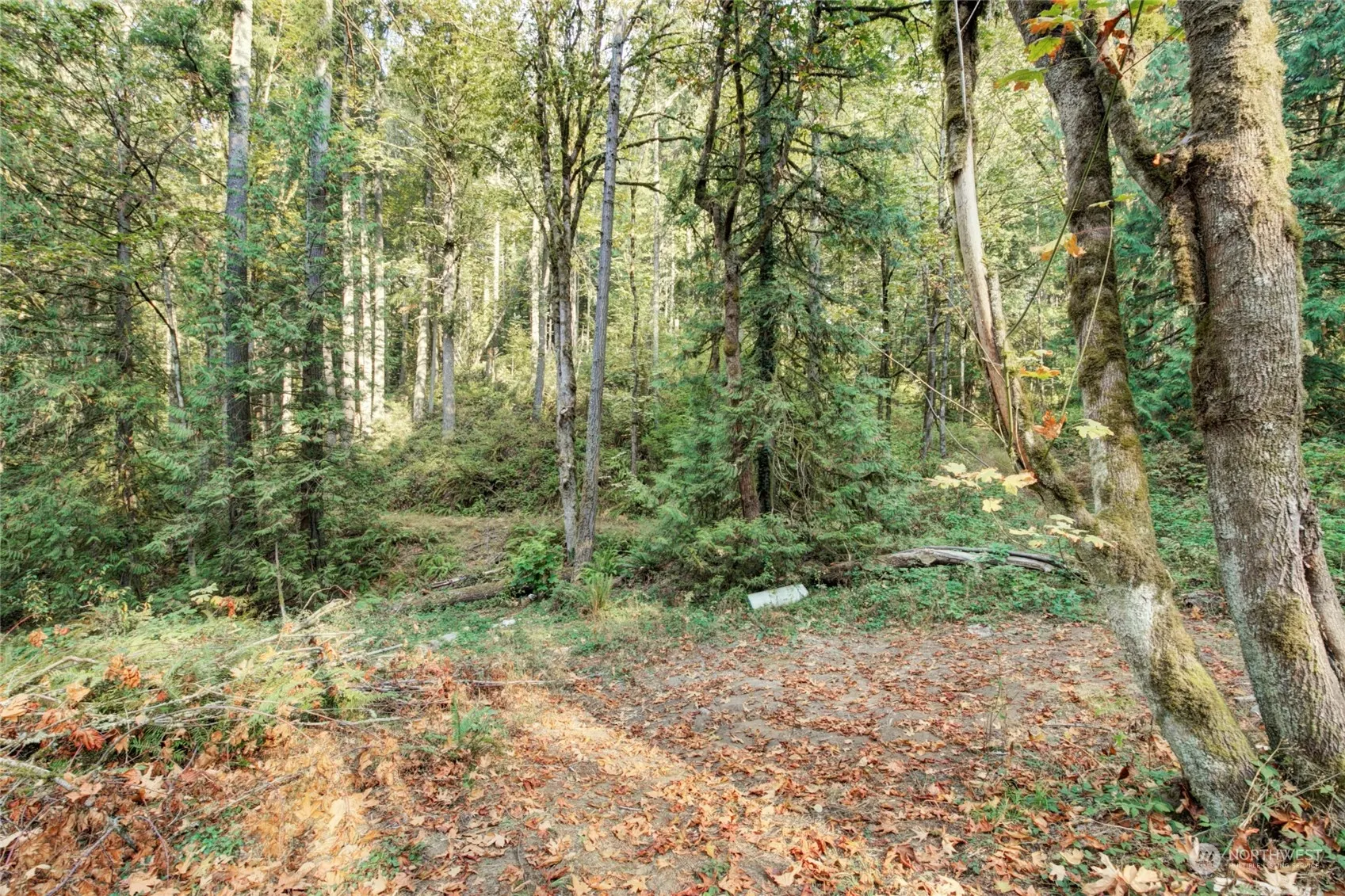37 XXX 212th Way SE, Sammamish, WA 98075