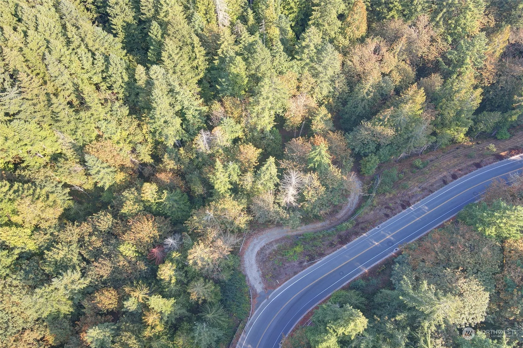 37 XXX 212th Way SE, Sammamish, WA 98075