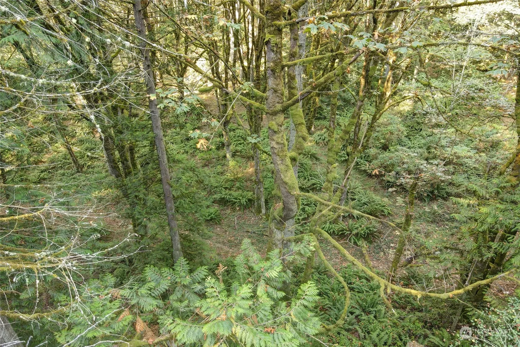 37 XXX 212th Way SE, Sammamish, WA 98075