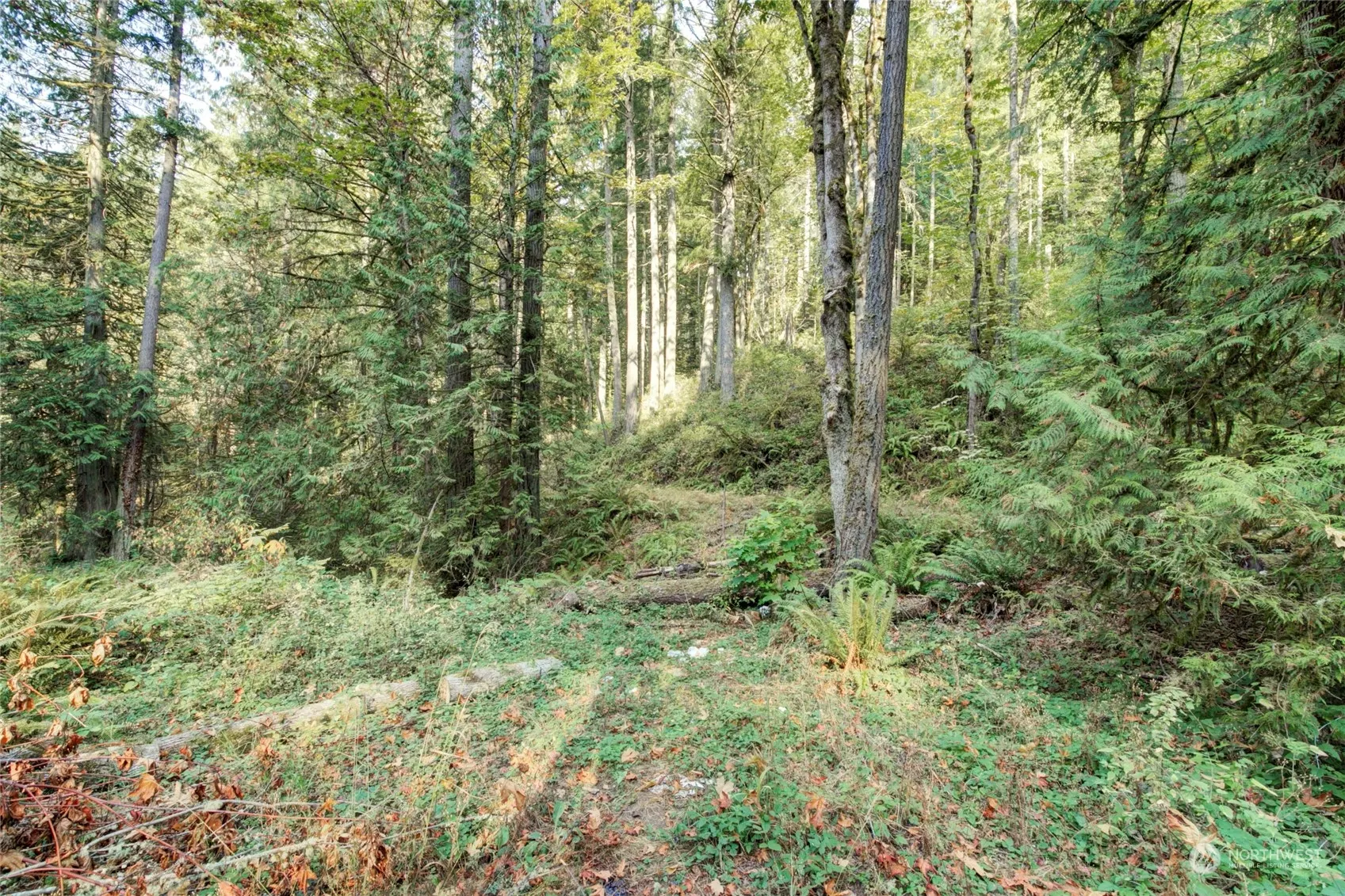 37 XXX 212th Way SE, Sammamish, WA 98075