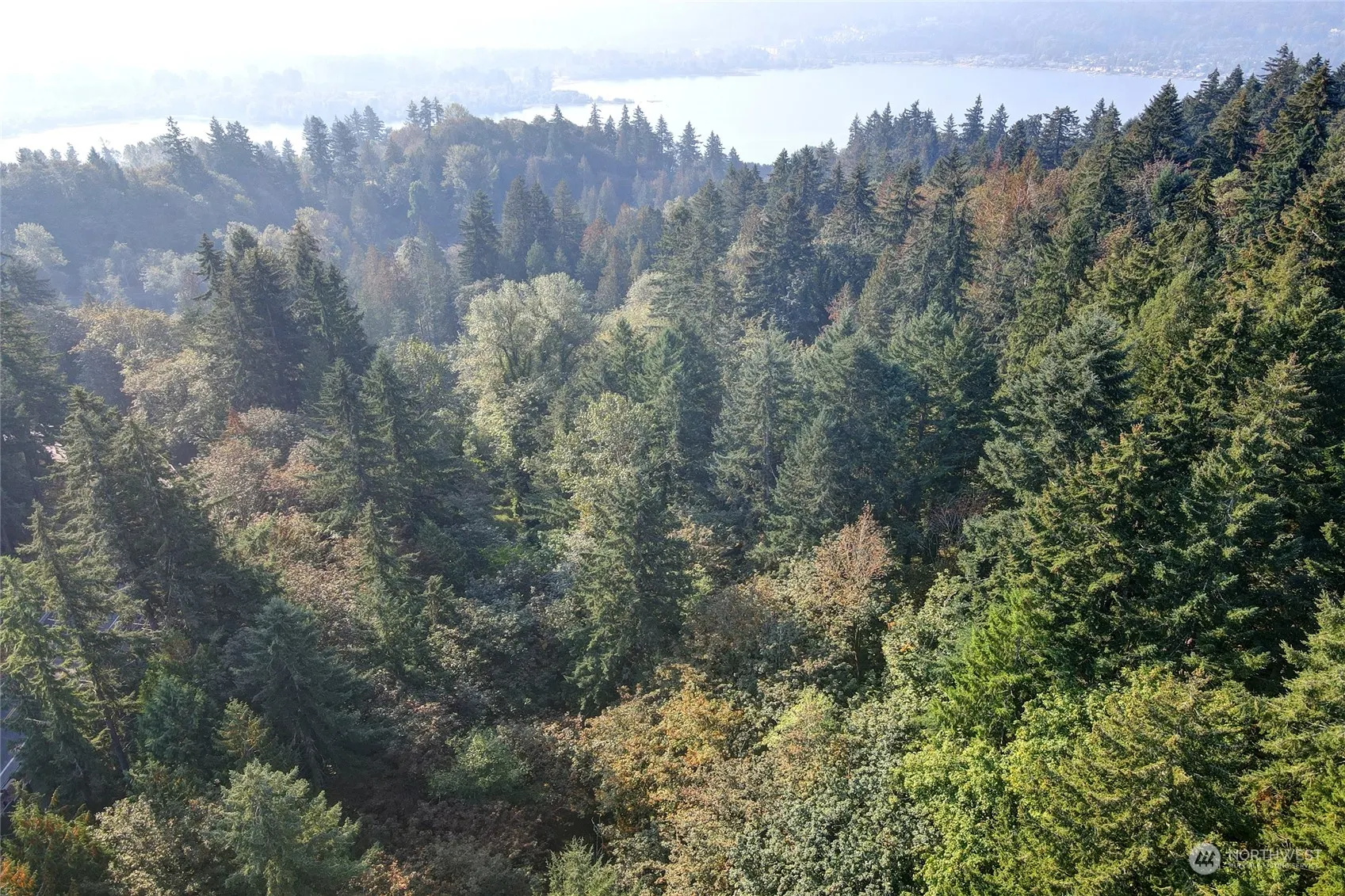37 XXX 212th Way SE, Sammamish, WA 98075