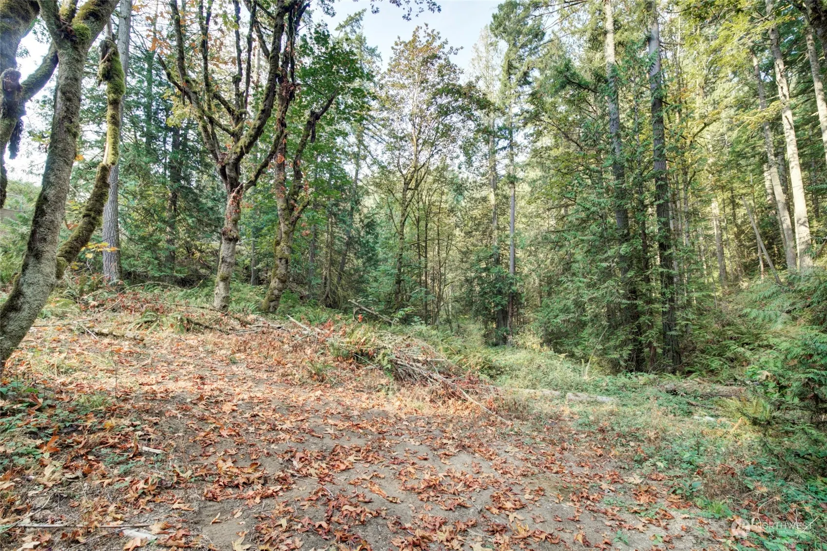 37 XXX 212th Way SE, Sammamish, WA 98075