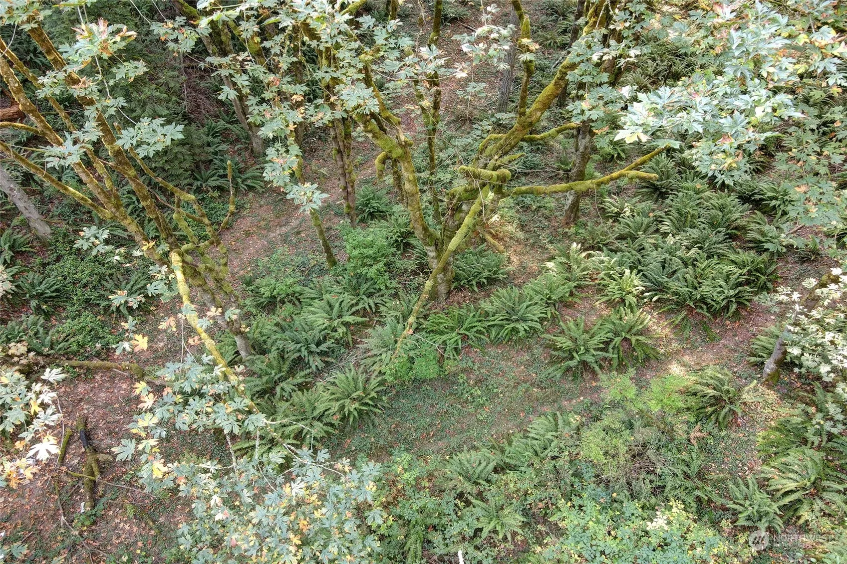 37 XXX 212th Way SE, Sammamish, WA 98075