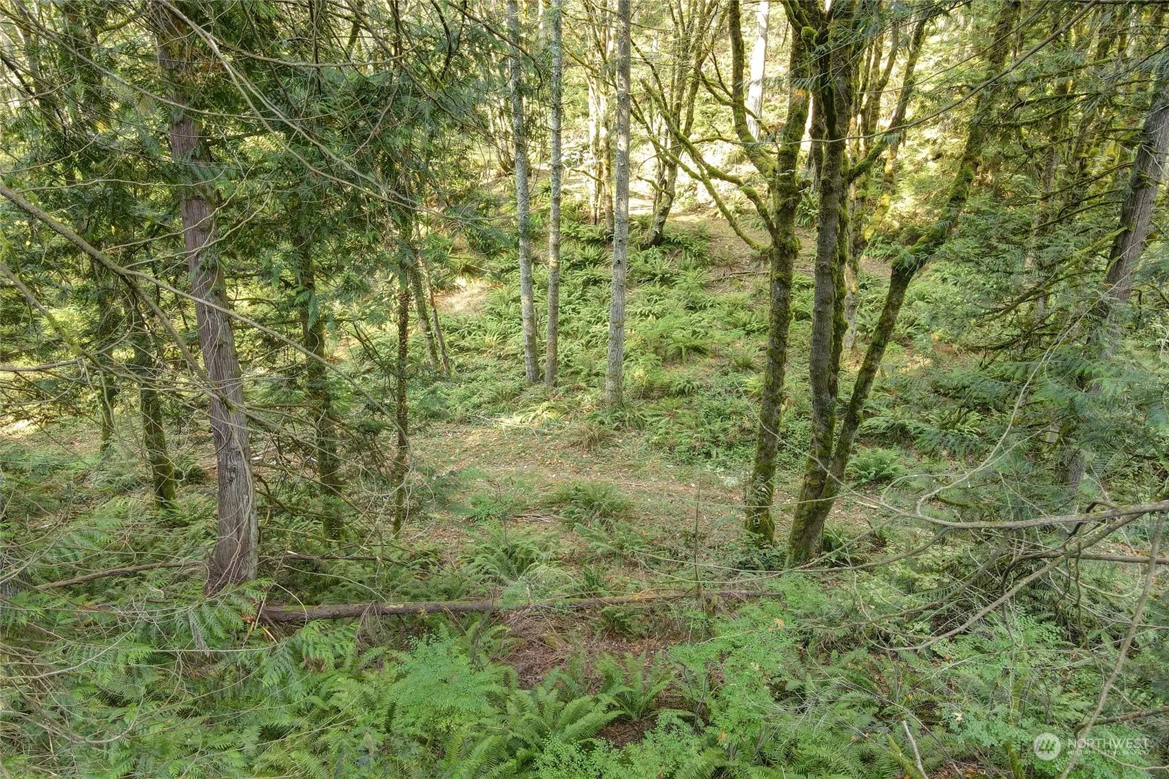 37 XXX 212th Way SE, Sammamish, WA 98075