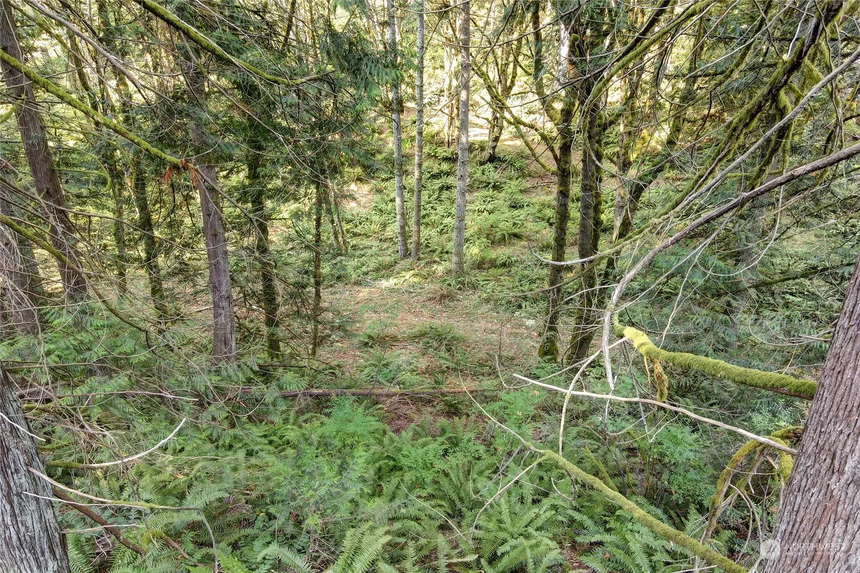 37 XXX 212th Way SE, Sammamish, WA 98075