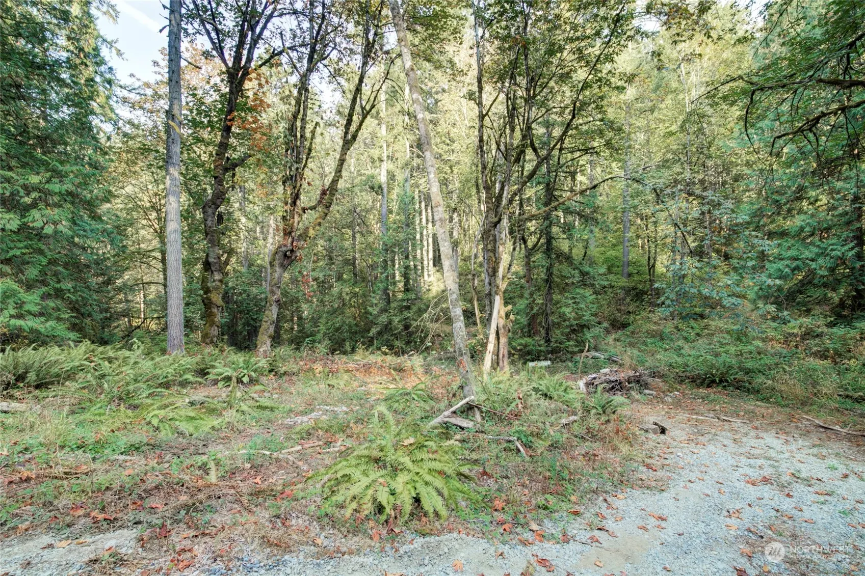 37 XXX 212th Way SE, Sammamish, WA 98075