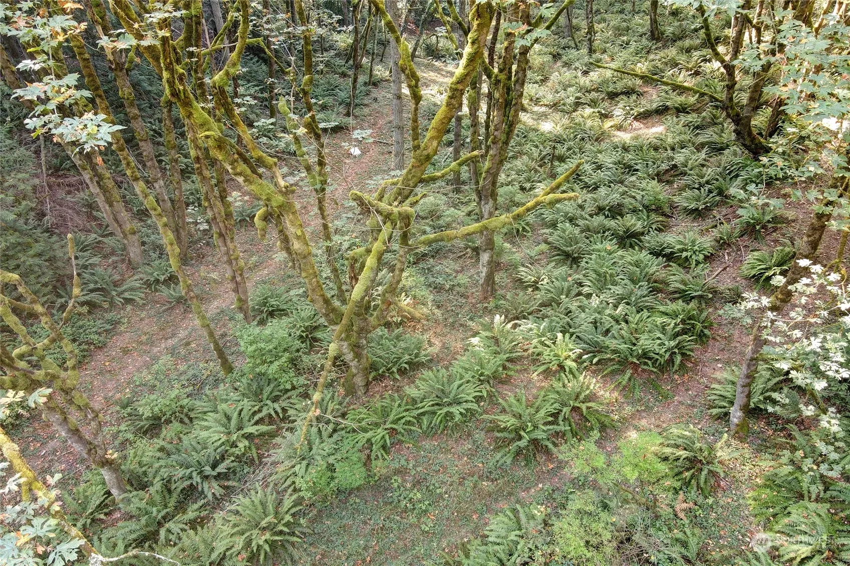 37 XXX 212th Way SE, Sammamish, WA 98075