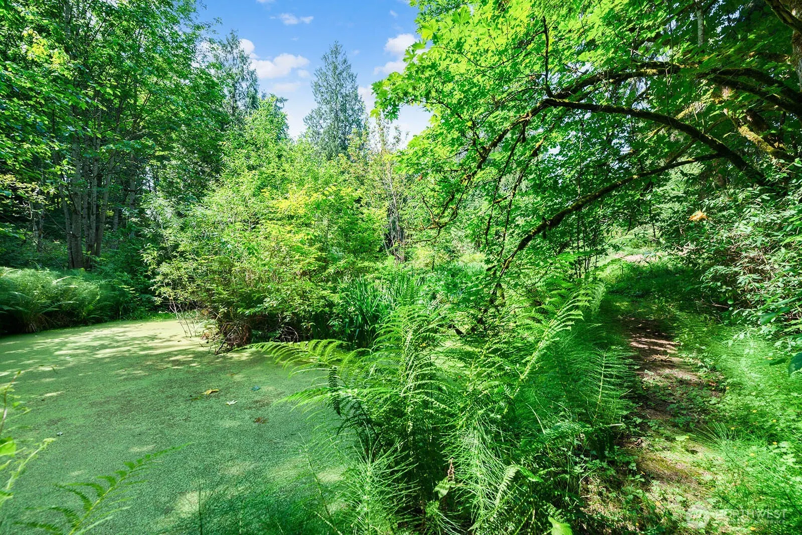 12043 184th Avenue NE, Redmond, WA 98052-2214