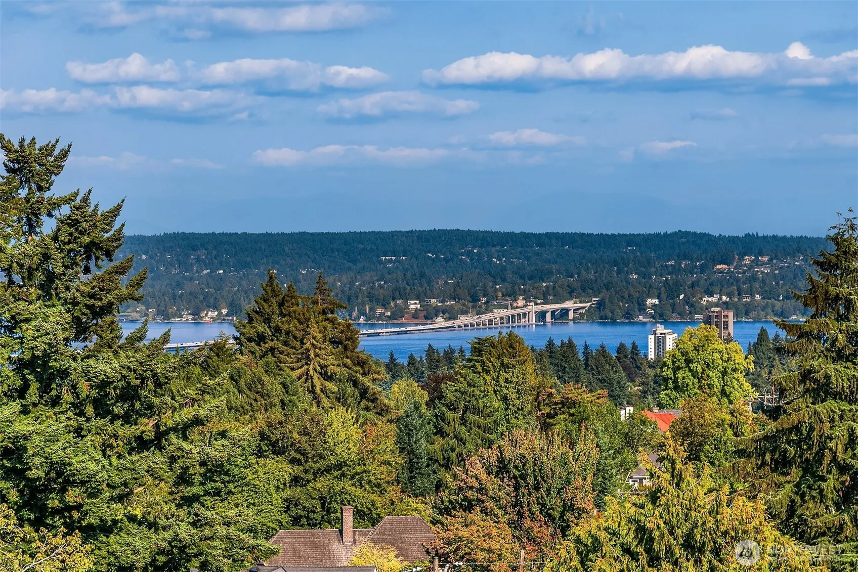1244 15th Avenue E #9, Seattle, WA 98112