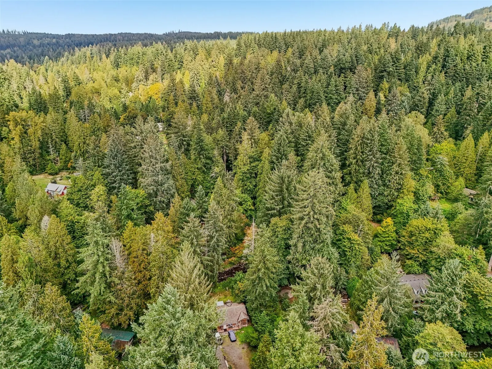 33324 SE 126th Street , Issaquah, WA 98027