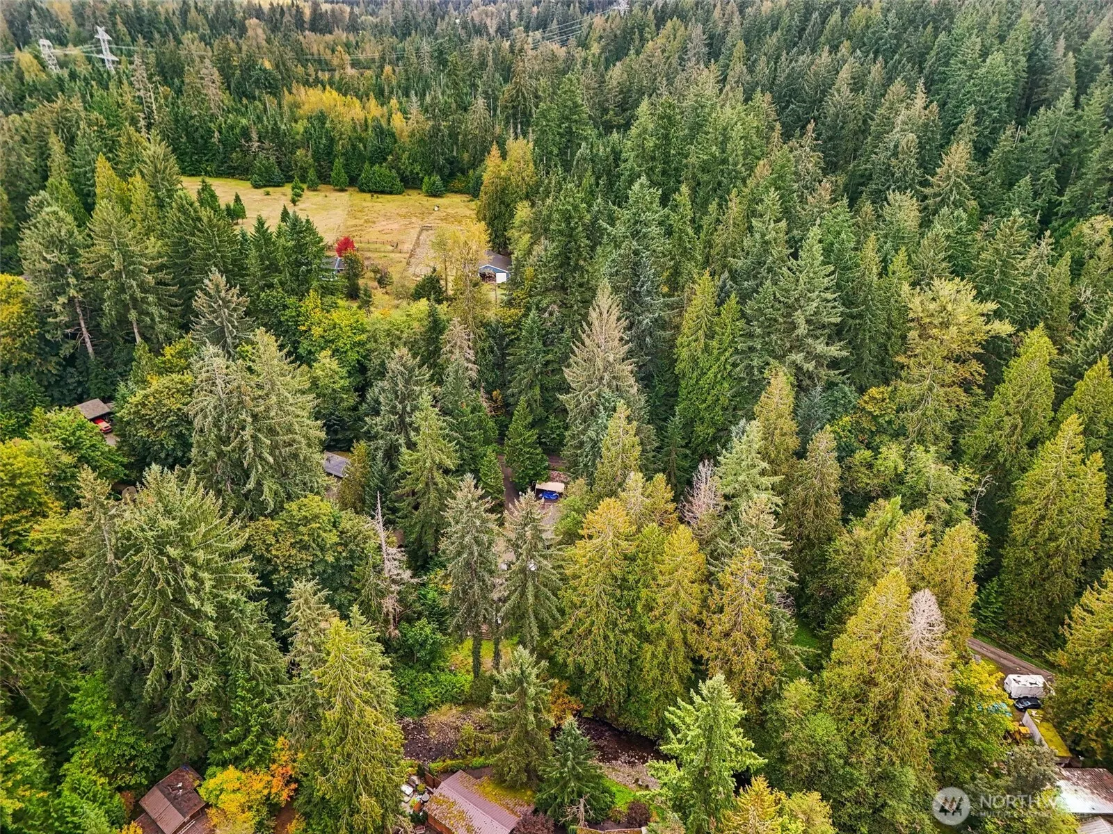 33324 SE 126th Street , Issaquah, WA 98027
