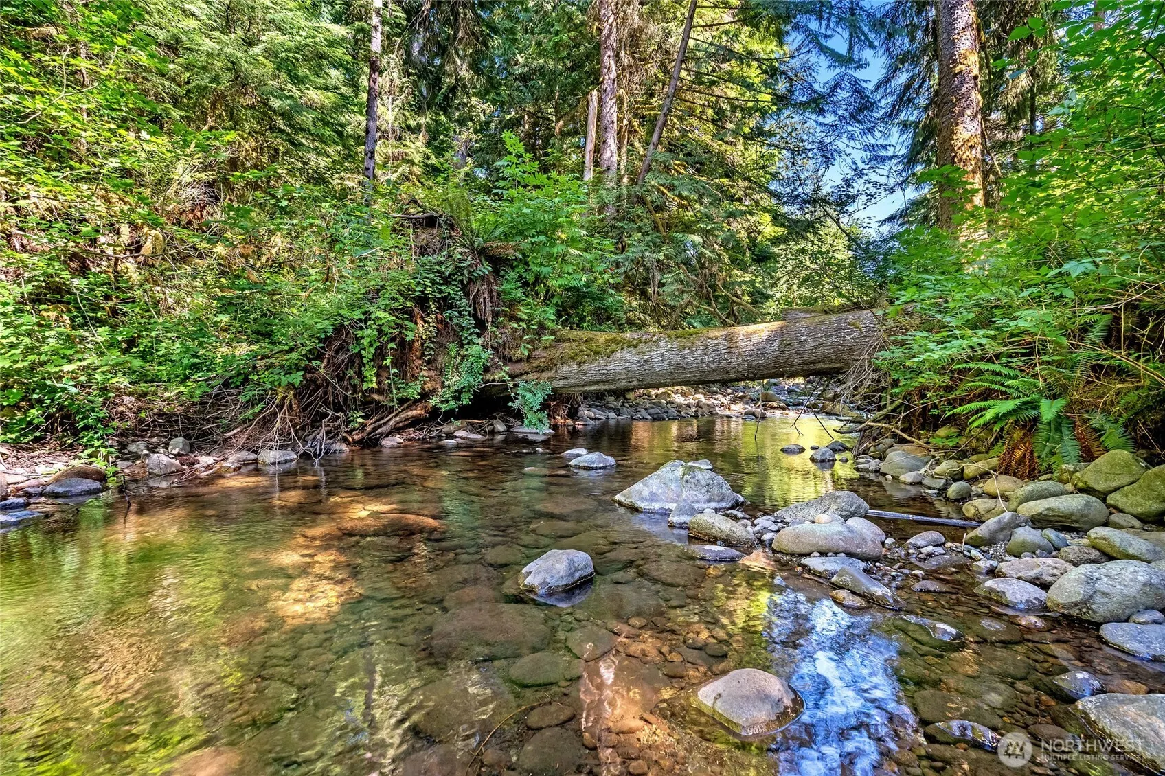 33512 SE 126th Street , Issaquah, WA 98027