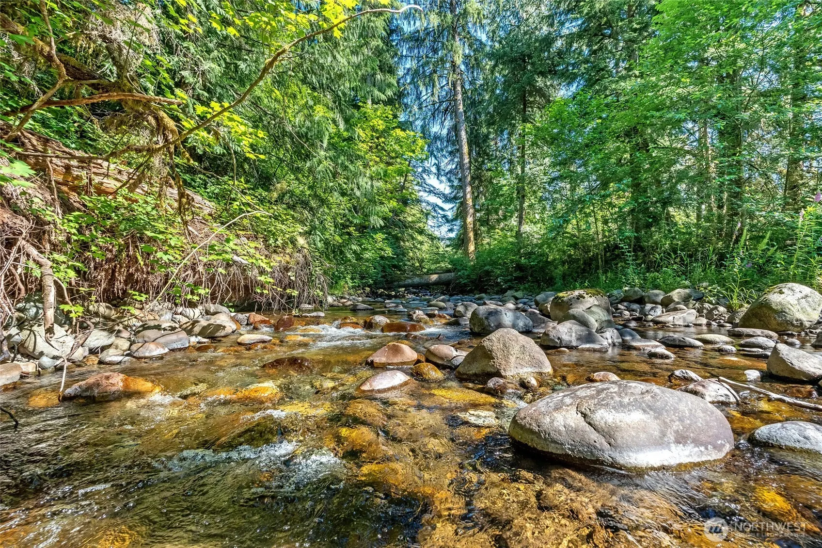 33512 SE 126th Street , Issaquah, WA 98027