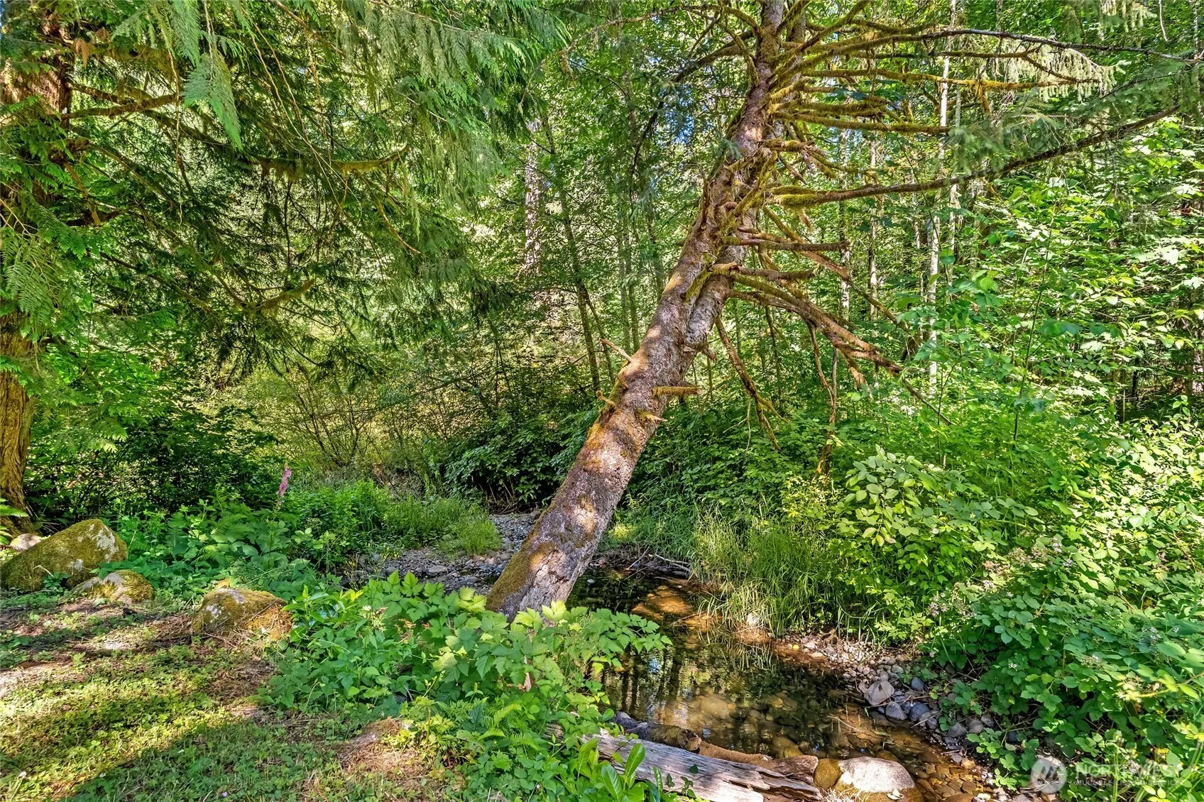 33512 SE 126th Street , Issaquah, WA 98027