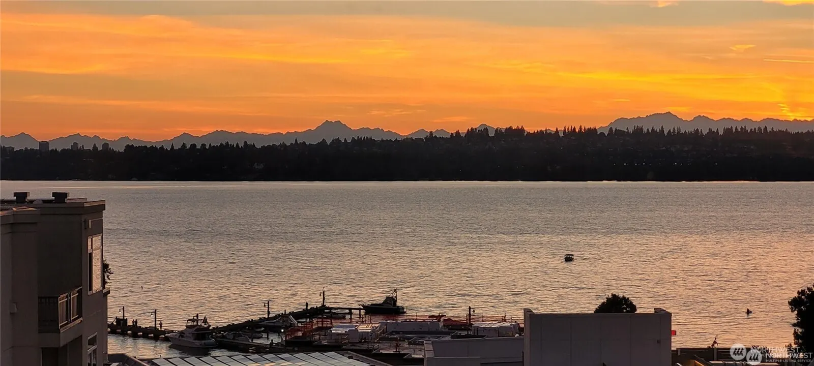 109 2nd Street S #423, Kirkland, WA 98033