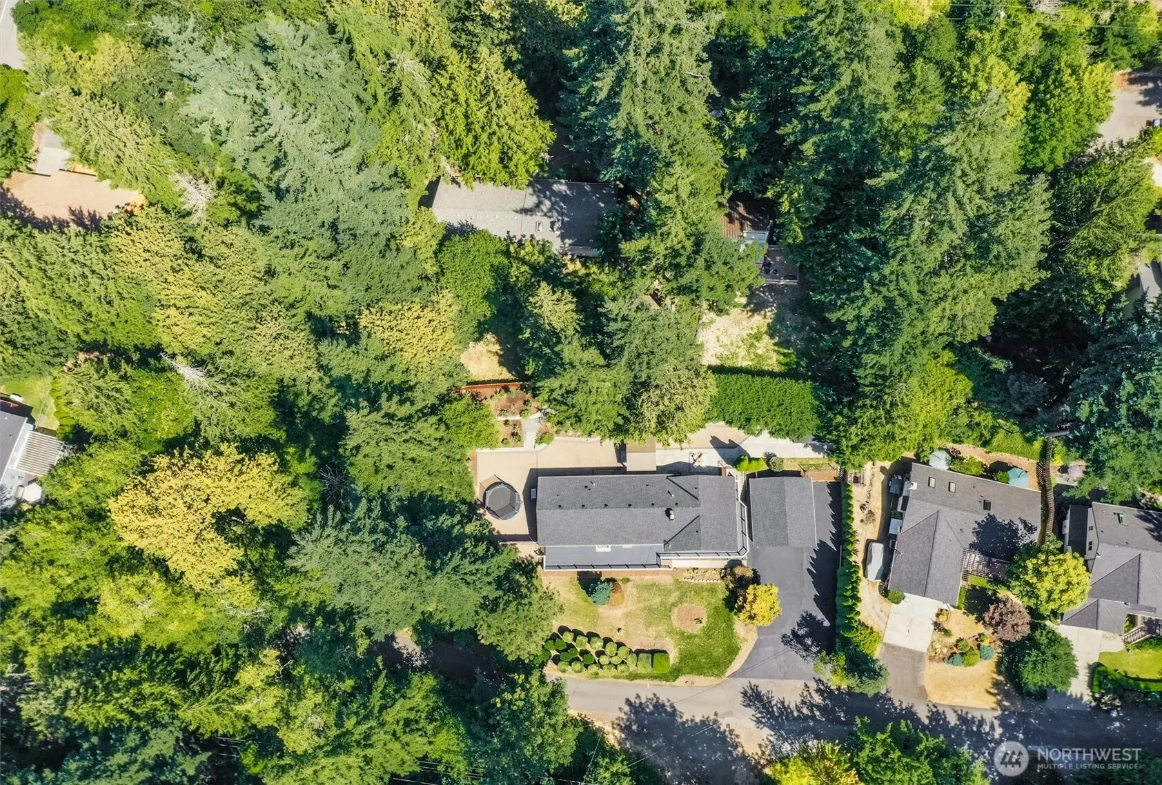 1136 205th Avenue NE, Sammamish, WA 98074