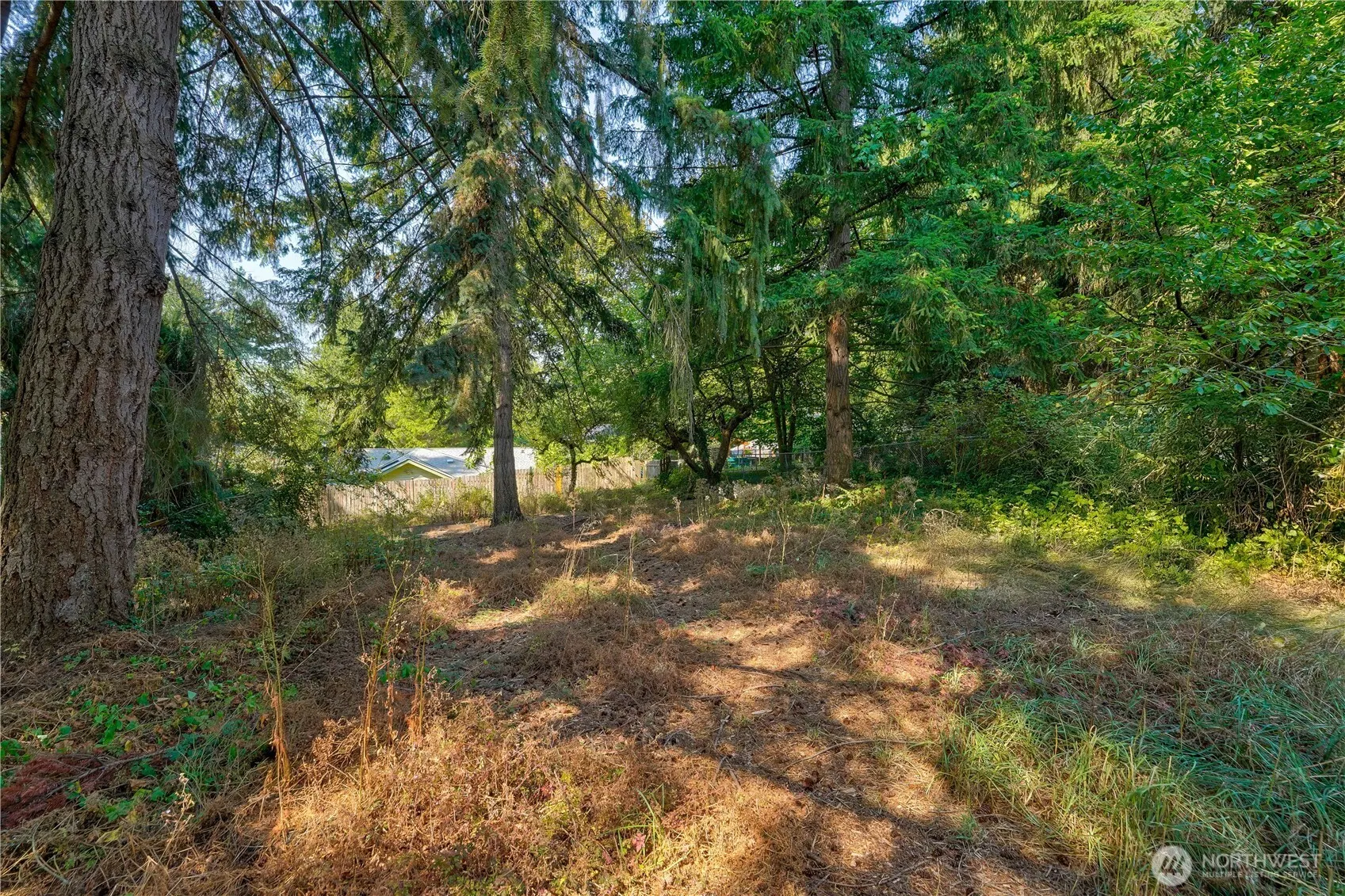 11027 Alton Avenue NE, Seattle, WA 98125