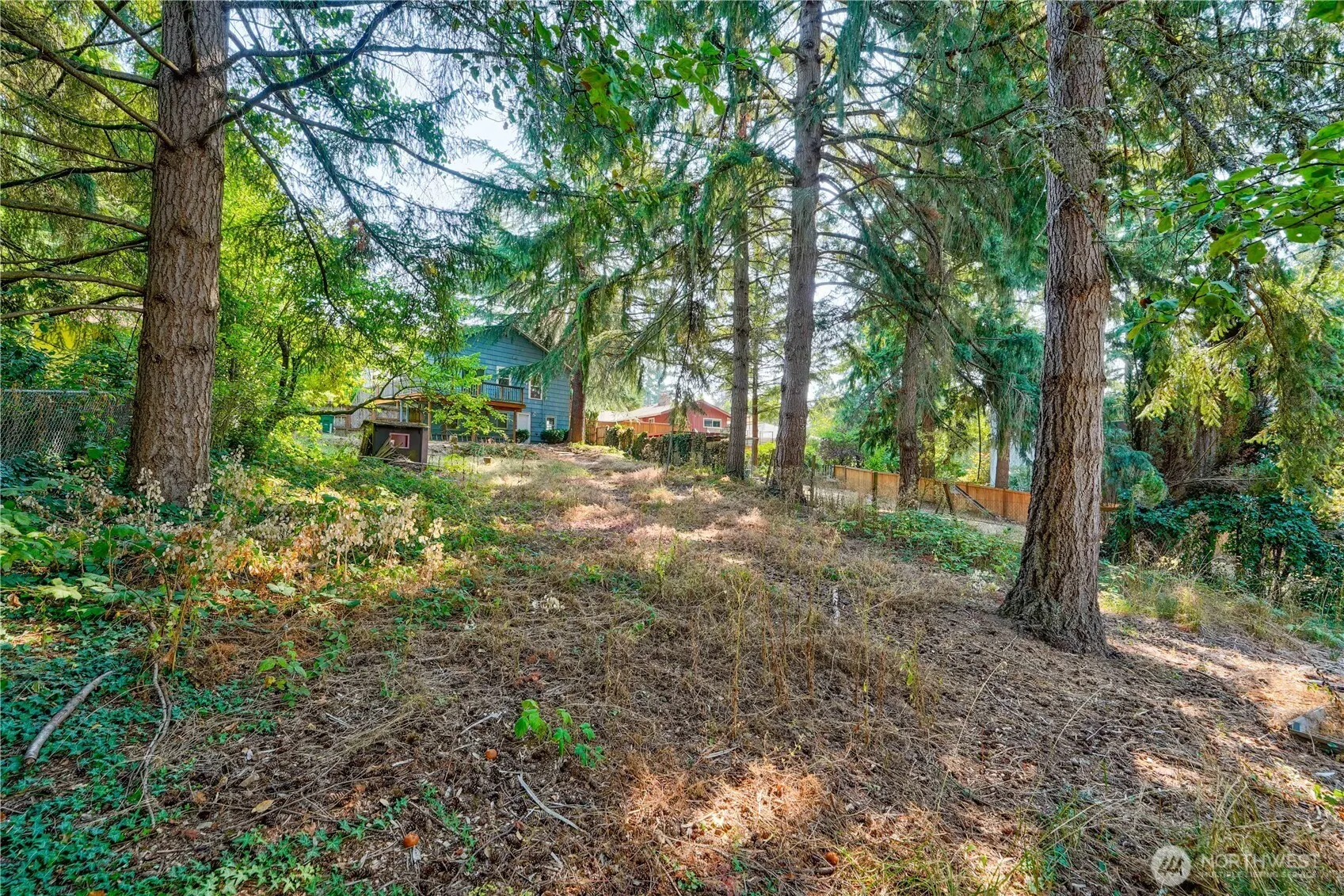 11027 Alton Avenue NE, Seattle, WA 98125