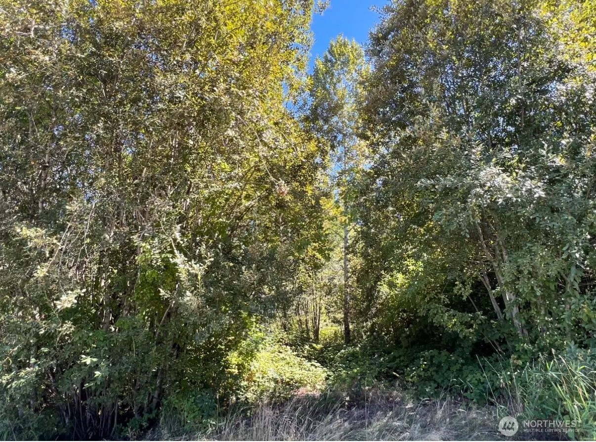 16640 184th Avenue SE, Renton, WA 98058