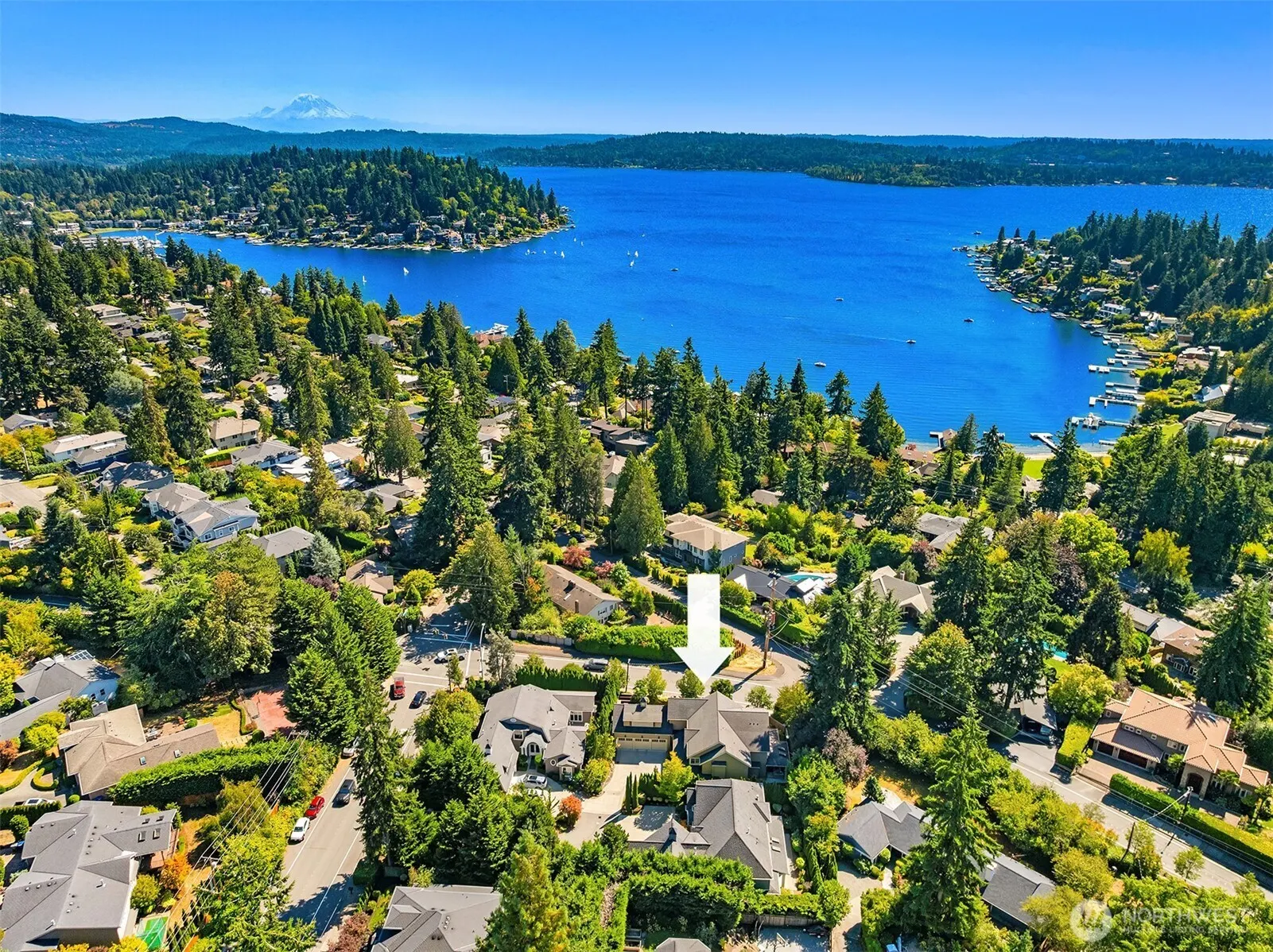 805 92nd Avenue NE, Bellevue, WA 98004