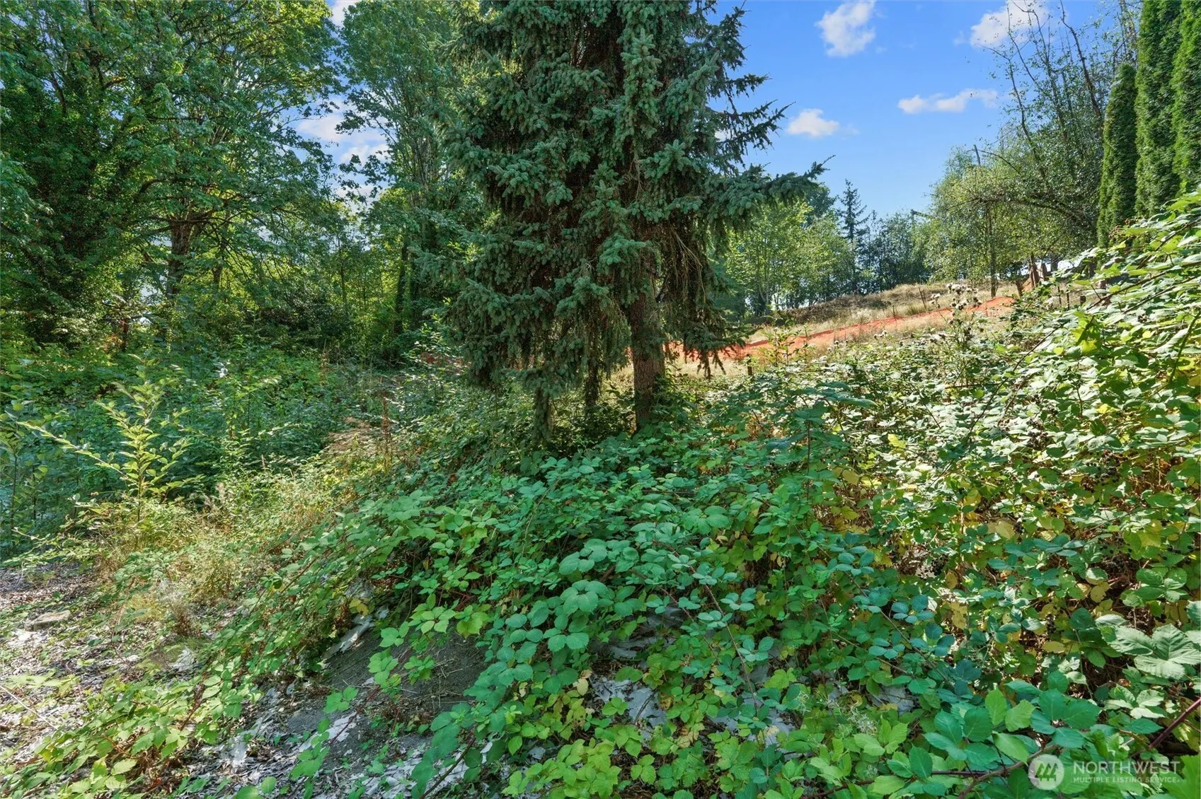 12455 NE 173rd Place , Woodinville, WA 98072