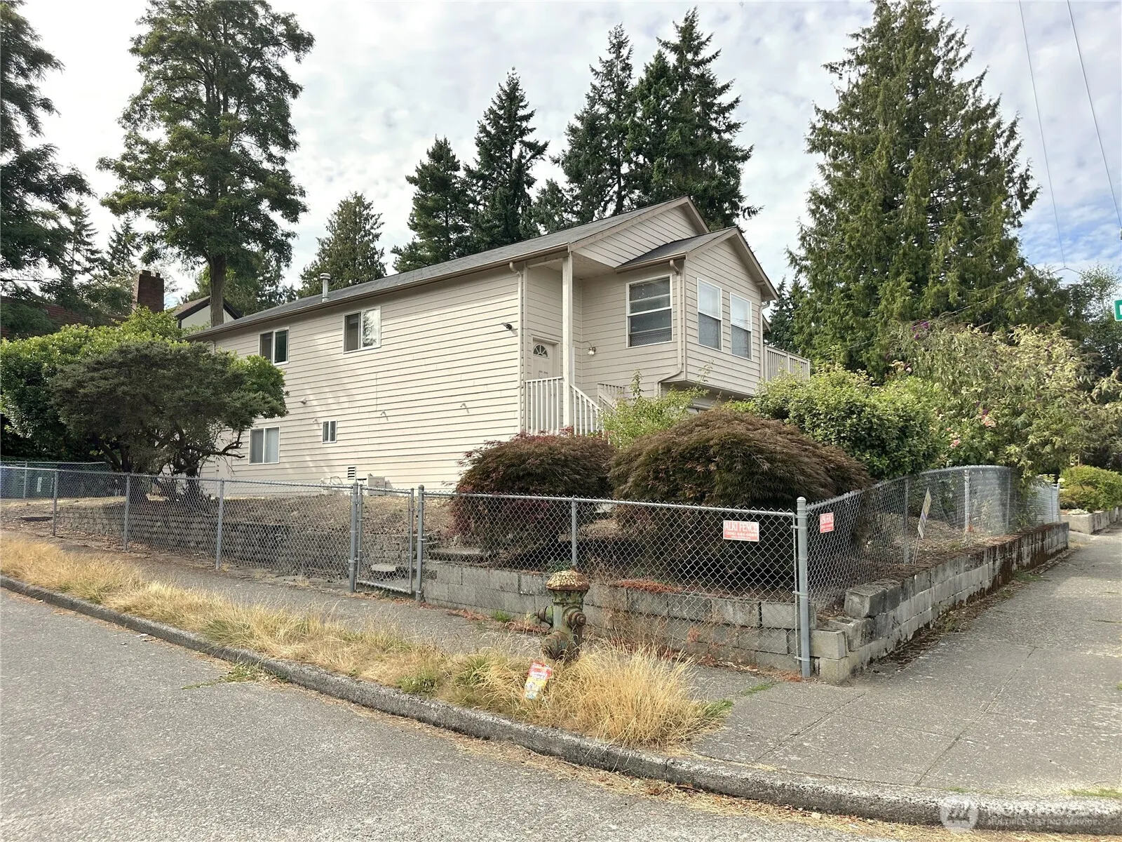 8803 15th Avenue NE, Seattle, WA 98115