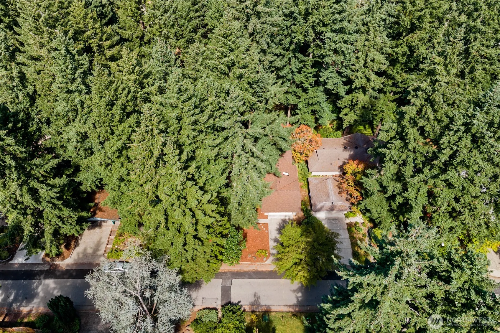 15916 SE 42nd Place , Bellevue, WA 98006