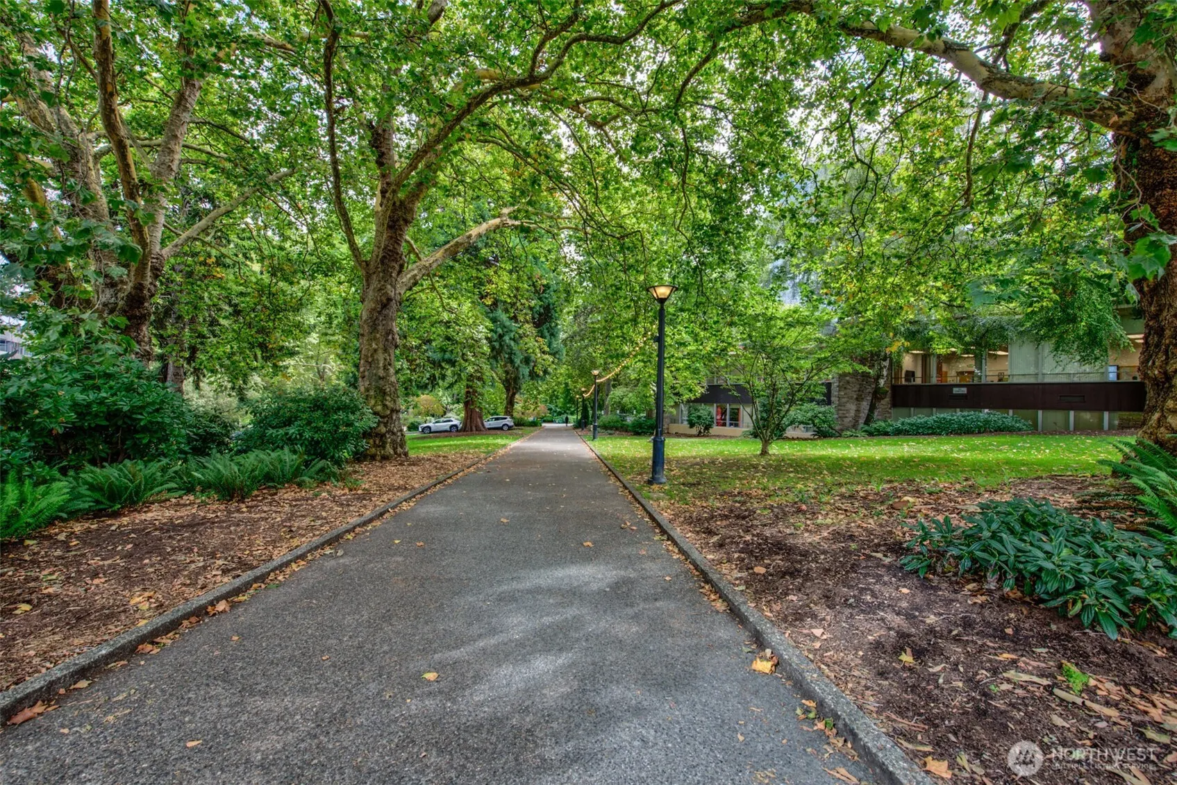 699 John St #517, Seattle, WA 98109