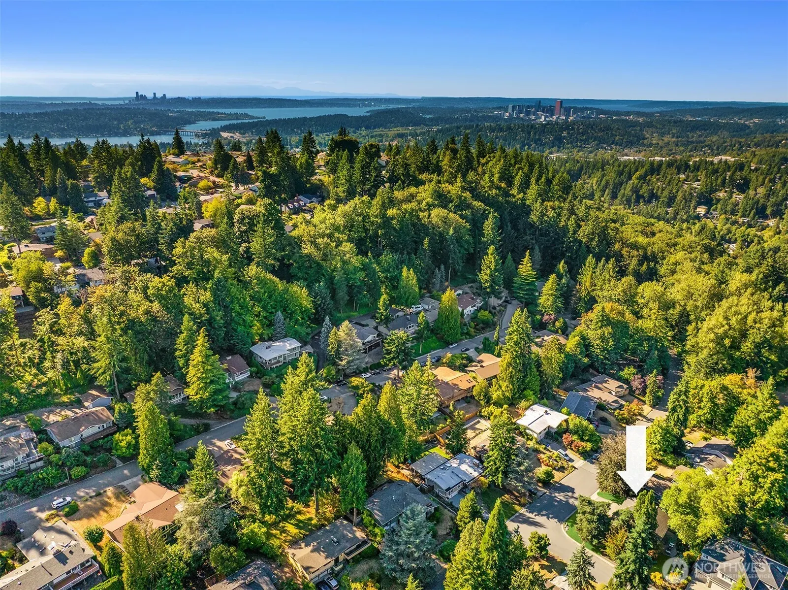 4466 146th Avenue SE, Bellevue, WA 98006