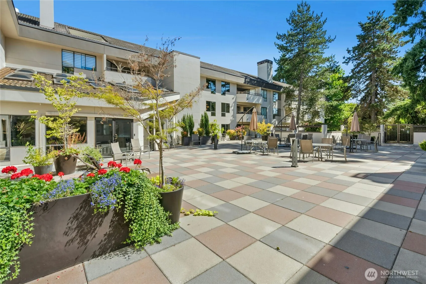 401 100th Avenue NE #208, Bellevue, WA 98004