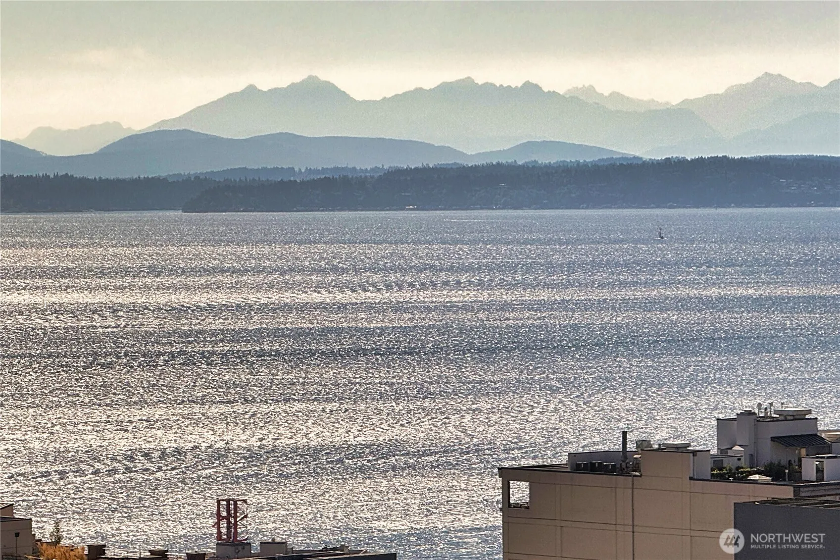 2100 3rd Avenue #1604, Seattle, WA 98121