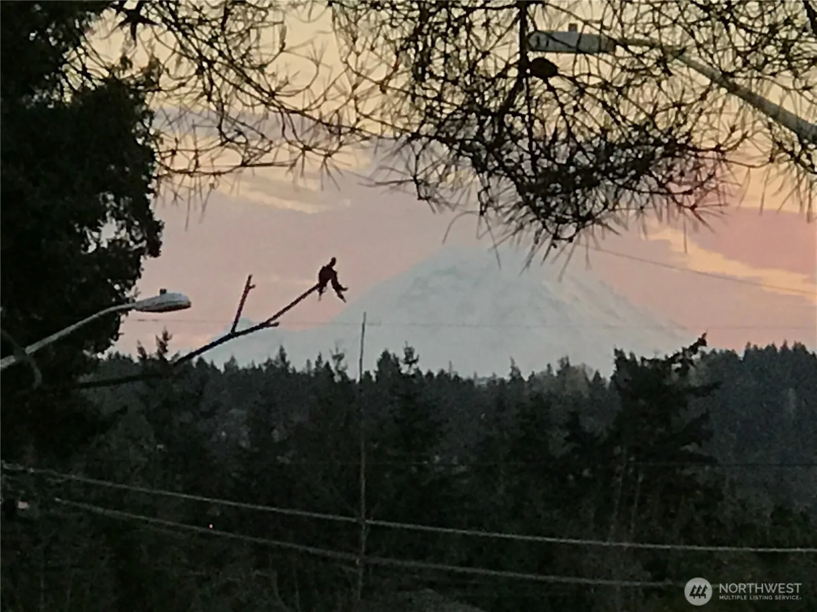 1515 3rd Street , Kirkland, WA 98033