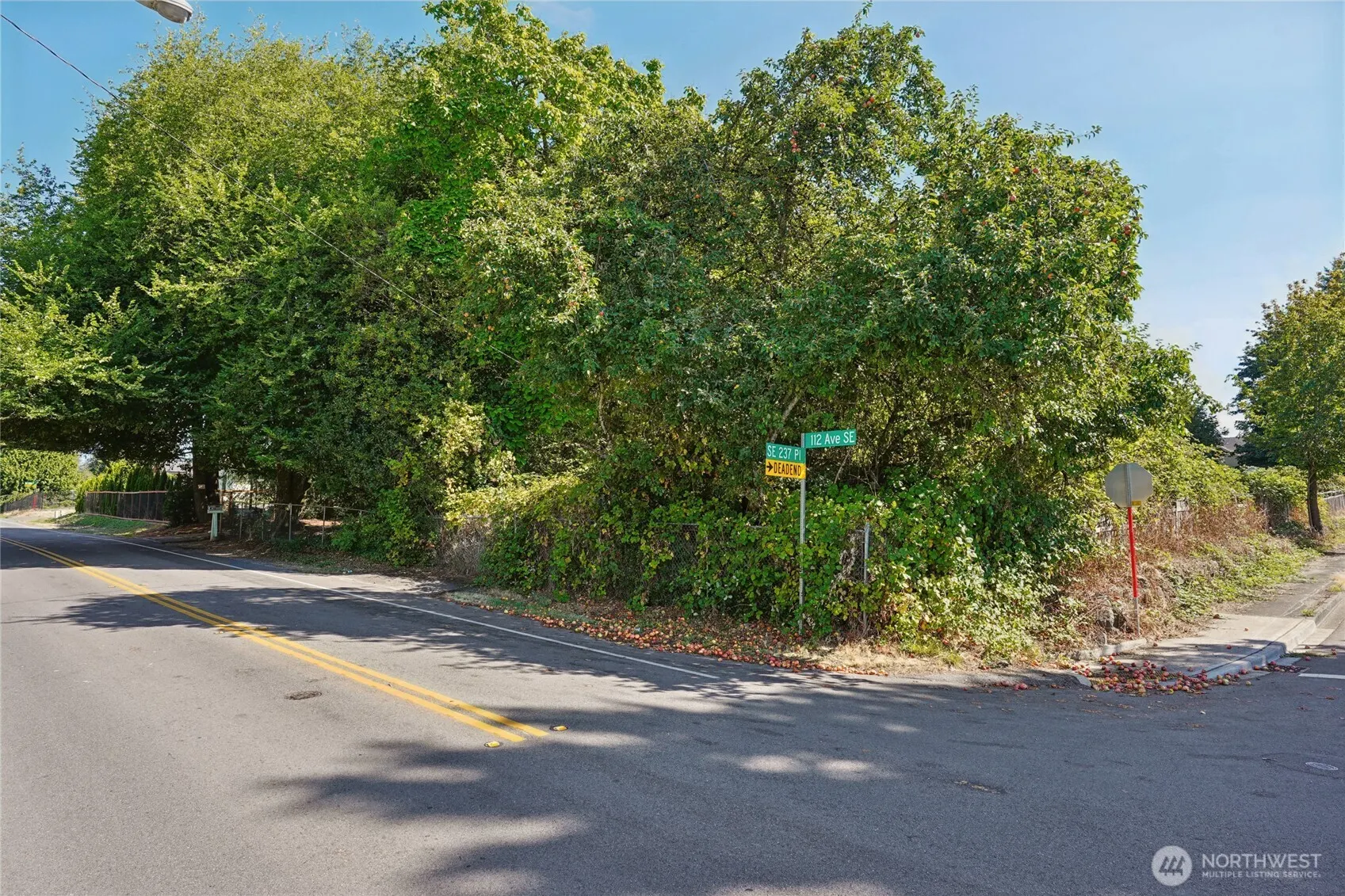 23704 112th Avenue SE, Kent, WA 98031