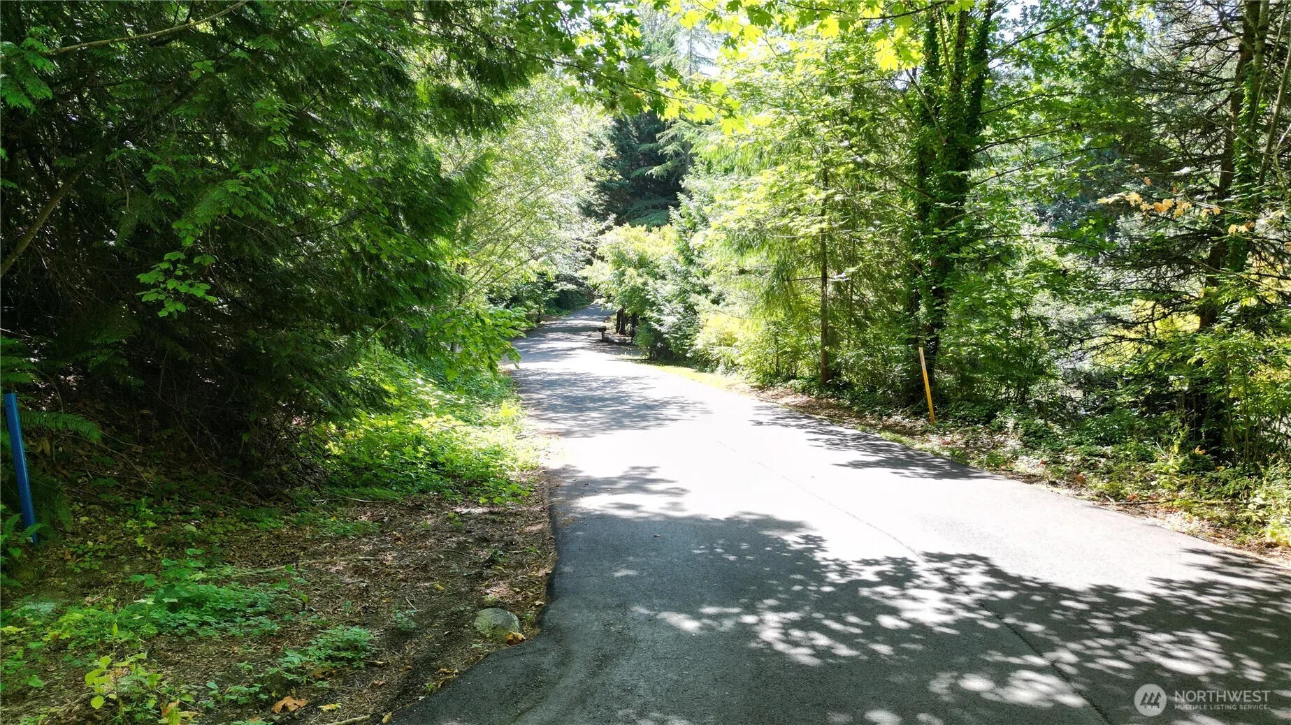 116 xx 198th ave se , Issaquah, WA 98027