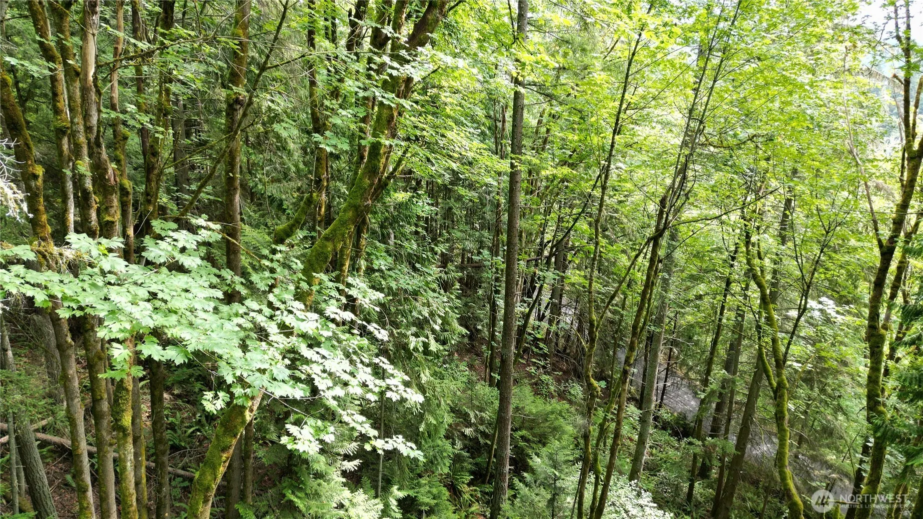 116 xx 198th ave se , Issaquah, WA 98027