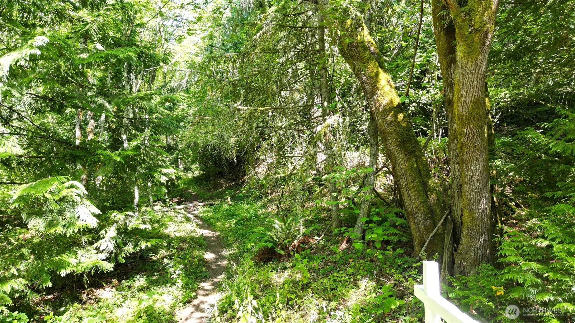 116 xx 198th ave se , Issaquah, WA 98027