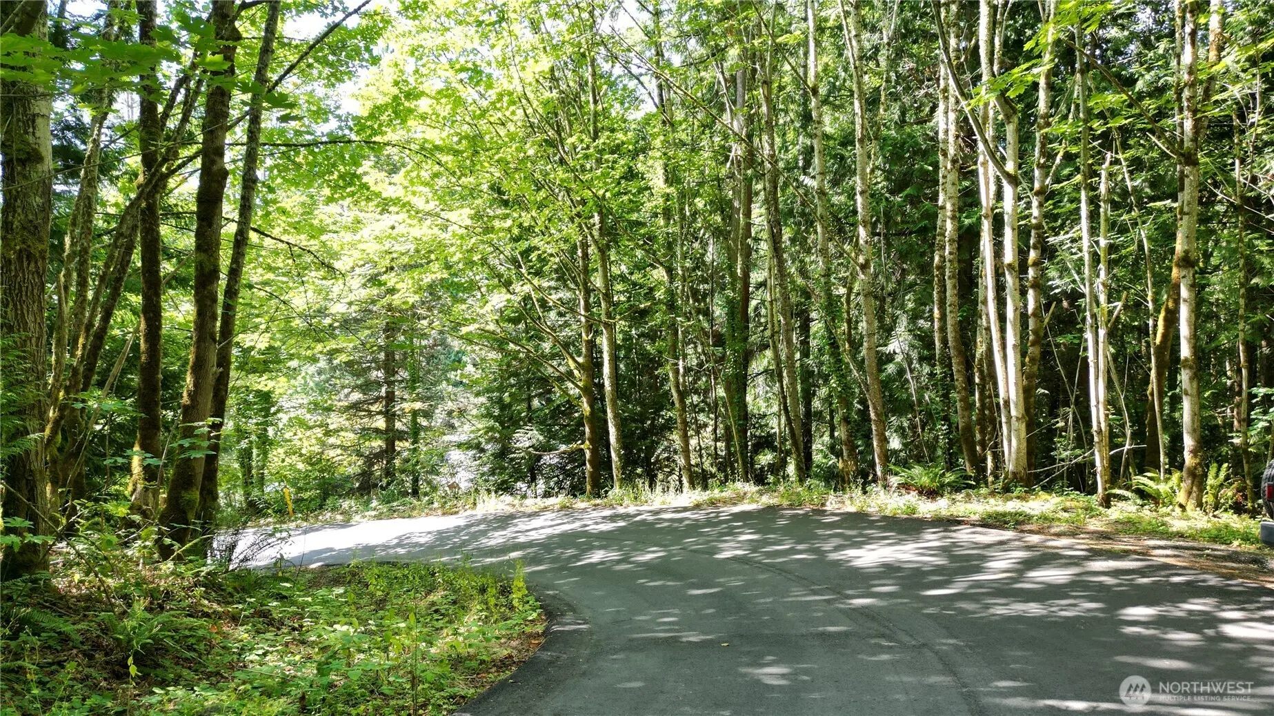 116 xx 198th ave se , Issaquah, WA 98027