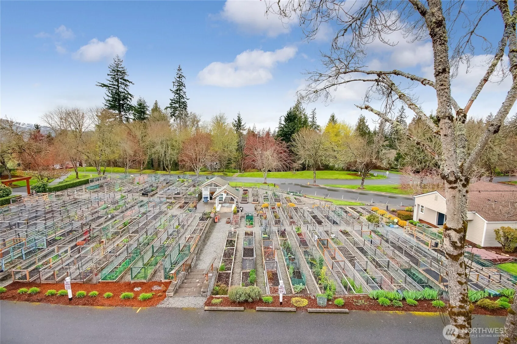 4106 221st Place SE #1072, Issaquah, WA 98029-7206