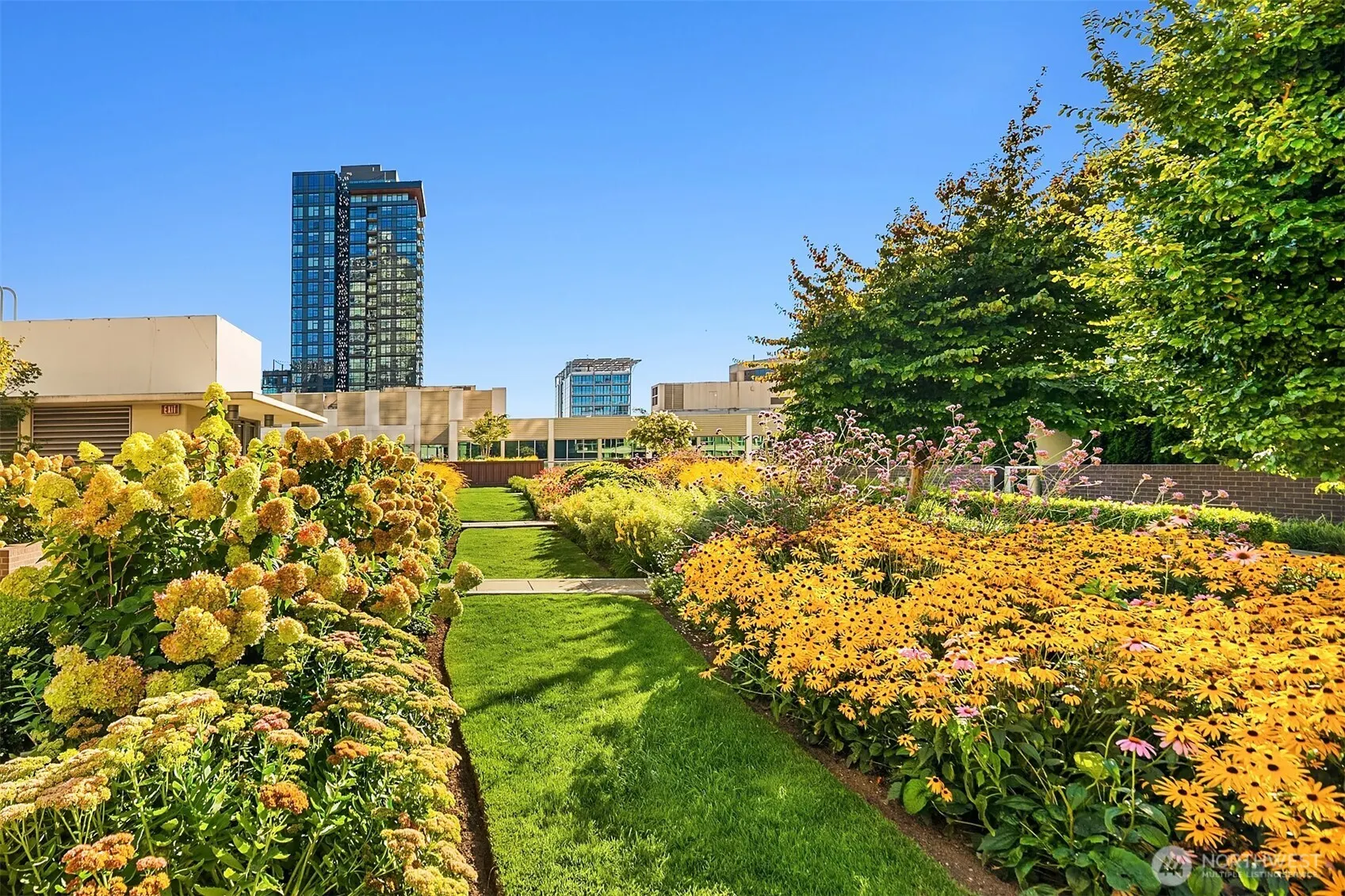 588 Bell Street #1804S, Seattle, WA 98121